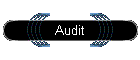 Audit